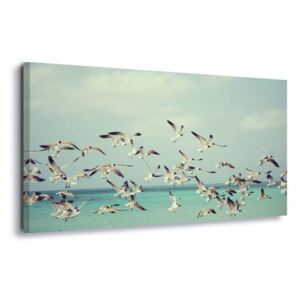 Tablou - Vintage Seagulls 4 x 30x80 cm