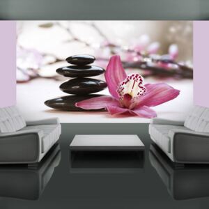 Fototapet - Relaxation and Wellness 450x270 cm
