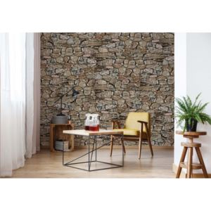 Fototapet GLIX - Stone Wall Motif + adeziv GRATUIT Tapet nețesute - 250x104 cm