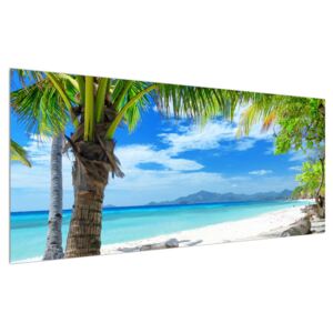 Tablou cu palmier și plaja (Modern tablou, K012665K12050)
