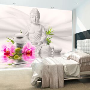 Fototapet - Buddha and Orchids 400x280 cm