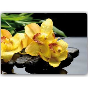 CARO Tablou metalic - Yellow Orchids 70x50 cm