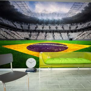 Fototapet - Brazilian stadium 350x245 cm