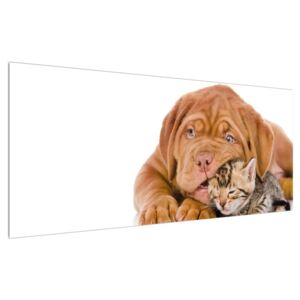 Tablou câinele cu pisicuța (Modern tablou, K011300K12050)