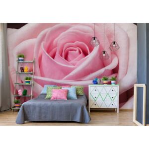 Fototapet - The Sensual Rose Vliesová tapeta - 416x290 cm
