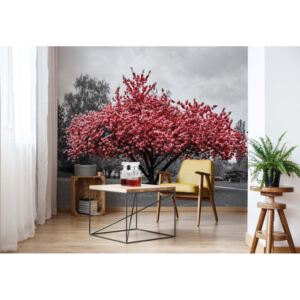 Fototapet GLIX - Red Tree + adeziv GRATUIT Tapet nețesute - 254x184 cm