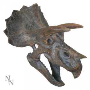 Decoratiune perete craniu dinozaur Triceratops 23 cm