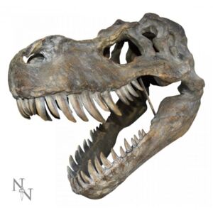 Decoratiune perete craniu dinozaur Tyrannosaurus Rex 40 cm