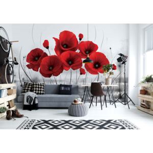 Fototapet - Red Poppies Vliesová tapeta - 416x254 cm