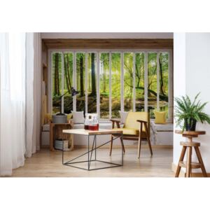 Fototapet - 3D Window View Forest Vliesová tapeta - 416x254 cm