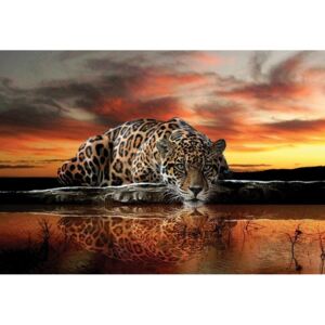 Buvu Fototapet vlies: Jaguar - 184x254 cm