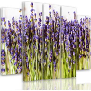 CARO Tablou pe pânză - Lavender Buds 100x70 cm