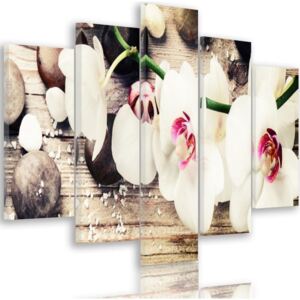 CARO Tablou pe pânză - White Orchid And Stones 100x70 cm