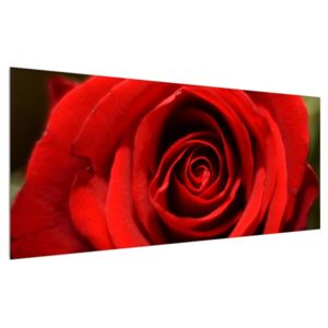 Tablou detailat cu trandafir (Modern tablou, K010280K12050)