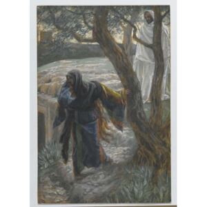 Jesus Appears to Mary Magdalene, illustration from 'The Life of Our Lord Jesus Christ', 1886-94 Reproducere, James Jacques Joseph Tissot