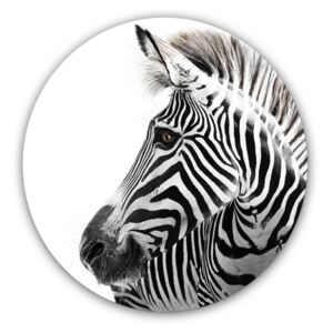 Styler Imagine din sticlă rotundă - Zebra