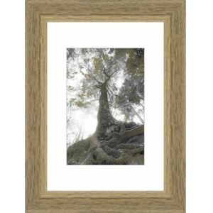 Rama foto lemn Modern stejar 9x13 cm