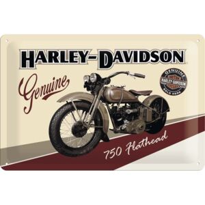 Panou decorativ din tabla Harley-Davidson Flathead 20x30 cm