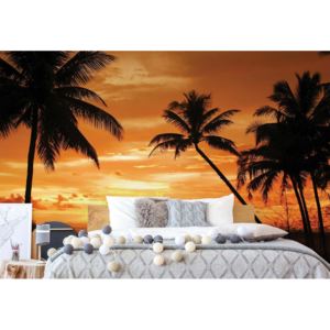 Fototapet - Tropical Sunset Silhouette Vliesová tapeta - 206x275 cm