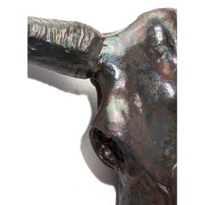 Statuetă pentru perete în formă de cap de taur Kare Design Antler Bull