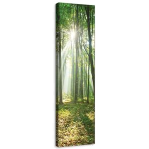 Buvu Tablou canvas: Soarele în pădure (3) - 145x45 cm