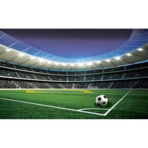 Buvu Fototapet vlies: Stadion de Fotbal (5) - 254x368 cm
