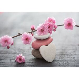 Buvu Fototapet vlies: Cireș și inimă în floare - 184x254 cm