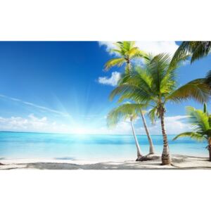 Buvu Fototapet: Palmieri pe plajă - 104x152,5 cm