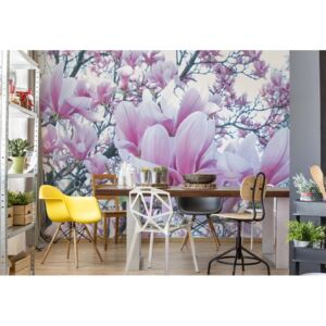Fototapet - Flowers Magnolia Vliesová tapeta - 254x184 cm