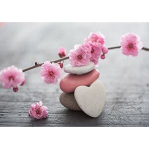 Buvu Fototapet: Cireș și inimă în floare - 184x254 cm
