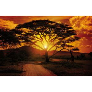 Buvu Fototapet: Apus de soare african - 184x254 cm