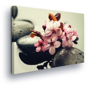 Tablou - Pink Flowers in Spa II 40x40 cm