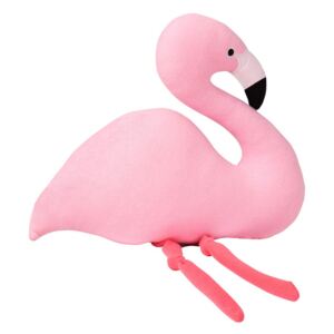 Perna Flamingo