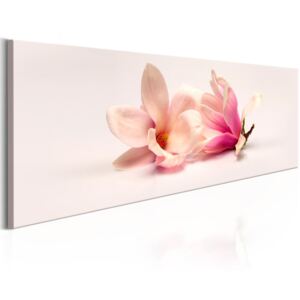 Tablou pe pânză - Beautiful Magnolias 150x50 cm