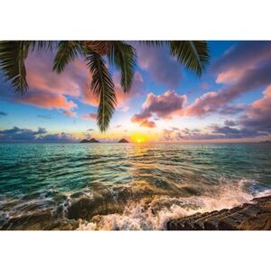 Buvu Fototapet: Paradis tropic (3) - 254x368 cm