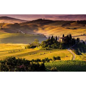 Buvu Fototapet: Toscana - 104x152,5 cm