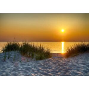 Buvu Fototapet: Apus de soare pe plajă (5) - 254x368 cm