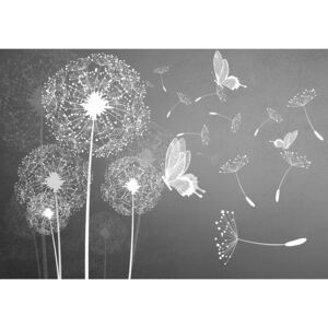 Buvu Fototapet: Păpădii și fluturi - 104x152,5 cm