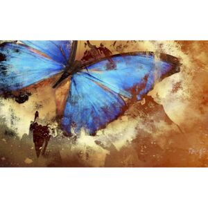 Buvu Fototapet: Fluture pictat - 254x368 cm