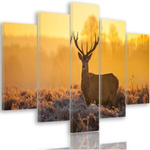 CARO Tablou pe pânză - Deer At Sunset 2 100x70 cm