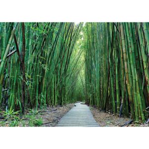 Buvu Fototapet vlies: Pădure de bambus (2) - 184x254 cm