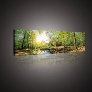 Buvu Tablou canvas: Pârâu de pădure (3) - 145x45 cm