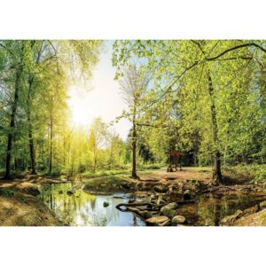 Buvu Fototapet vlies: Pârâu de pădure (3) - 184x254 cm