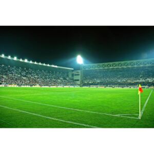 Buvu Fototapet: Stadion de Fotbal (3) - 184x254 cm