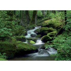 Buvu Fototapet: Pârâu de pădure (1) - 184x254 cm