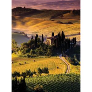 Buvu Fototapet: Toscana - 254x184 cm