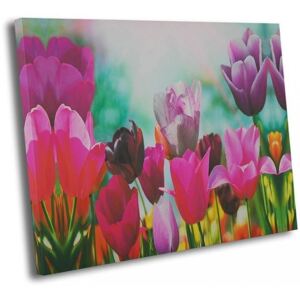 CARO Tablou pe pânză - Tulips 3 40x30 cm
