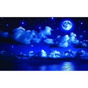 Buvu Fototapet: Noapte cu lună - 184x254 cm