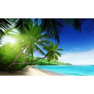 Buvu Fototapet: Paradis pe plajă - 184x254 cm