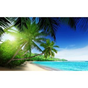 Buvu Fototapet vlies: Paradis pe plajă - 184x254 cm